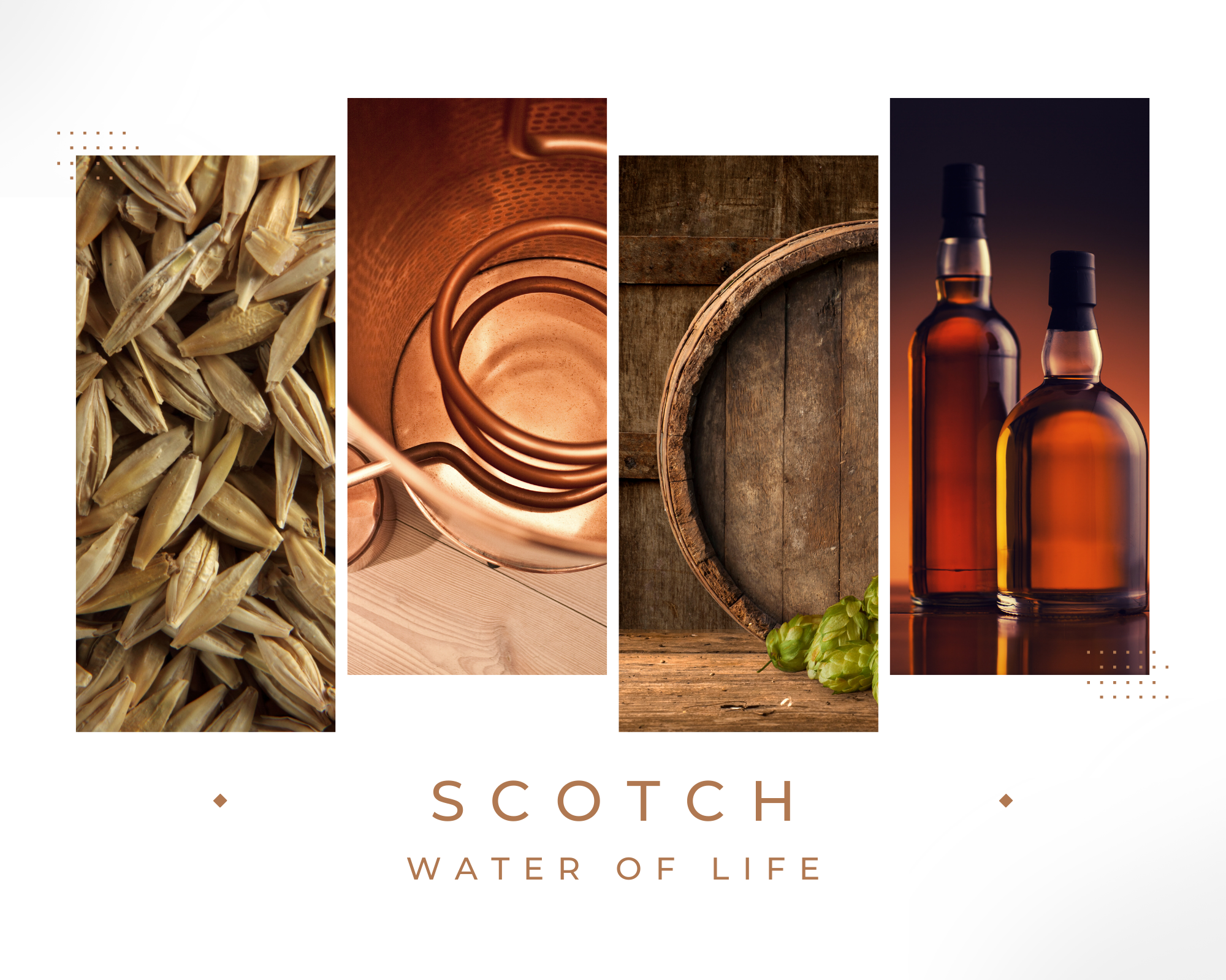 What is scotch?